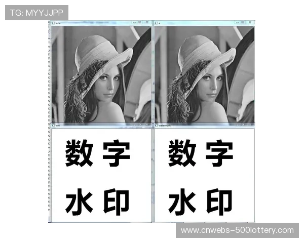 现阶段防盗链算法与水印技术升级 捍卫了体育直播系统的版权权益